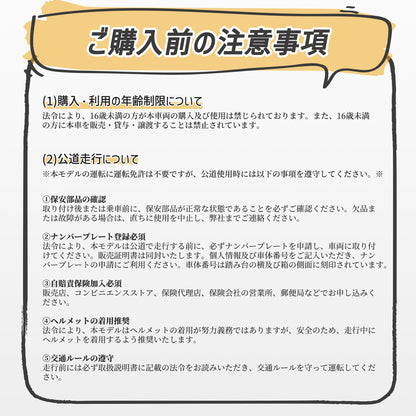 AINOHOT SAGA lite│電動キックボード